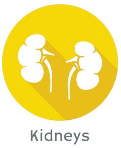 Preventing-kidney-complications