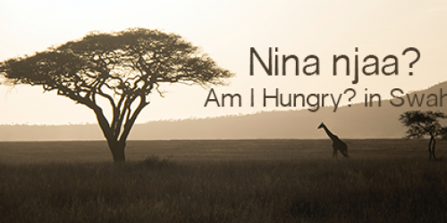Am I Hungry Tanzania Retreat